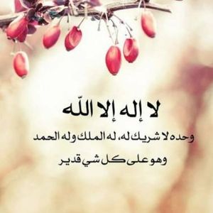 Meet your Posher, Samar